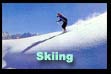 Discover the charm of skiing, enjoy your winter on the snow caped slopes of Auli....Enter here to get the special skiing packages,Holidays India, Holidays to India, India Tours, India Travel, Tour Operator India, Travel Agents India, Tours To India, South India Tours.