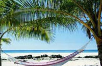 Welcome to Saffron Resort,Saffron Resort Goa,Resort in Goa India,Goa,India, Beach in Goa, Calangute.