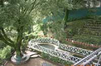 HOMESTEAD,Homestead,homestead,Holiday House India Himachal Pradesh  Kasauli Vacation Rentals - Rent beautiful holiday house or rent vacation apartment home or advertise your holiday home for free at no charge.