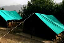 Camp NatureTrails  Holiday Camp Mashobra Sivpur Shimla Himachal Pradesh