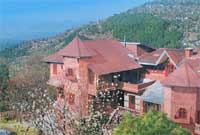Grace Hotel Dharamshala Top View