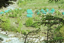 The Green Sangla Valley, Baikunth Adventure Camps Sangla