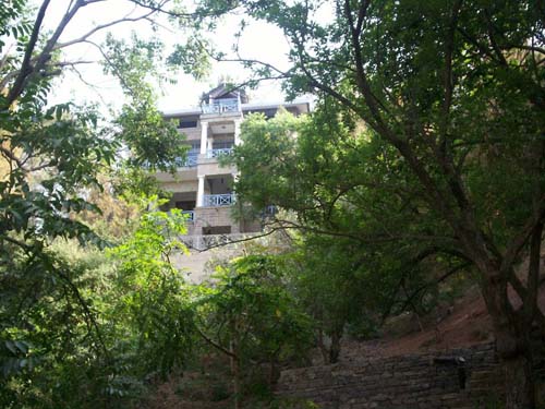 Shimla View Cottage Kasaulia1