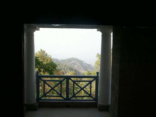 Shimla View Cottage Kasaulic4