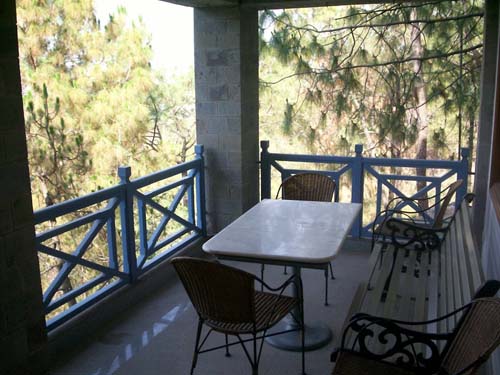 Shimla View Cottage Kasaulic5