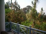 Shimla View Cottage Kasaulif1