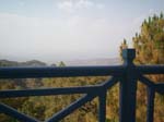 Shimla View Cottage Kasaulif3