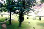 Span Resorts. Span Resort Manali, Hotel in Manali, Manali hotels and Resorts.