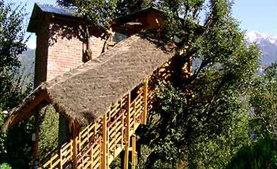 Tree House Cottages Manali Tree House Cottages Manali Tree House