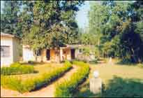 The Tigerland Resort, Tiger land Resort Kanha national park & jewel of india, discount hotel tariff, jungle packages, accommodation