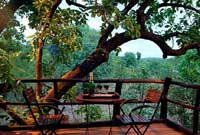 Tree House Hideaway,Tree House Bandhavgarh National Park, Tree House Hideaway Madhya Pradesh, Tree House Madhya Pradesh, discount tariff / rates/ pricelist