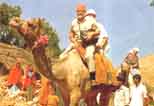 Camel Safari
