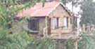 Bob's Place Nathuakhan,Uttaranchal.Nathuakhan Holidays & Vacations in Bob's Place,Nathuakhan cottages,Nathuakhan Cottages, holiday cottage, holiday cottages, holiday cottage Nathuakhan, Nathuakhan holiday cottage, holiday cottages Nathuakhan.