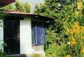 The Cottage Jeolikot Uttaranchal,cottages in Uttaranchal,cottages for Uttaranchal,cottages Uttaranchal,cottages in india, holiday cottages, retreats india, cottages uttaranchal, cottages himachal,Uttaranchal.