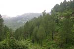 View From Shikhar Nature Resort