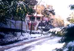 Surbee Resort - Mussoorie,SURBEE RESORTS MUSSOORIE,surbee resorts mussoorie,Surbee Resorts Mussoorie, Hotels Resorts mussoorie, accommodation Mussoorie Uttar Pradesh India &discount tariff/ honeymoon Packages.
