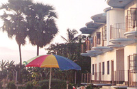 Sunderban Tiger View Point,Sunderban Tiger View Point Kolkata,Bengal Tiger,Kolkata,Hotels in Kolkata India, Calcutta Hotels, Online Booking of Kolkata Hotels, Kolkata Hotels, Budget Hotels in Kolkata, Hotels in Calcutta India, Luxury Hotels in Kolkata,Hotels Resort West Bengal.