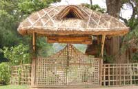 The Bamboo Grove::Periyar tiger Reserve, Thekkady, Kerala, Hotel Periyar,Hotel Thekkady,Resort Periyar,Lodgings Periyar,Resort Thekkady,Periyar Tiger Reserve, Kerala, India.