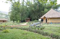 The Bamboo Grove::Periyar tiger Reserve, Thekkady, Kerala, Hotel Periyar,Hotel Thekkady,Resort Periyar,Lodgings Periyar,Resort Thekkady,Periyar Tiger Reserve, Kerala, India.