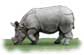 wildlife holidays in india