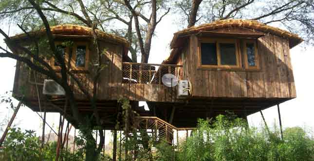tree house hotel. unique tree house located