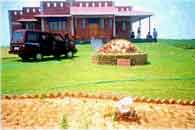 Kalki Mystic Farm