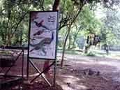 Sanjay Gandhi National Park