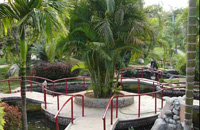Pragati Resort,Pragati Resort in Hyderabad,Resorts in Hyderabad,Resort Hotel in Hyderabad,Pragati Resorts Hotel Hyderabad,Family Resort in Hyderabad.