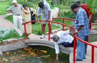 Pragati Resort,Pragati Resort in Hyderabad,Resorts in Hyderabad,Resort Hotel in Hyderabad,Pragati Resorts Hotel Hyderabad,Family Resort in Hyderabad.