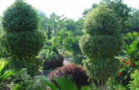 Pragati Resort,Pragati Resort in Hyderabad,Resorts in Hyderabad,Resort Hotel in Hyderabad,Pragati Resorts Hotel Hyderabad,Family Resort in Hyderabad.