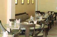 New Delhi Airport Hotels - Hotels near New Delhi Indira Gandhi Airport,New Delhi Airport Hotels - Hotels near New Delhi Indira Gandhi Airport - DELHI Airport,India's 5 star Airport Hotels in New Delhi Luxury Hotel Delhi.