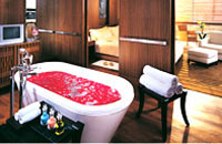 Hotel Maurya Sheraton Towers,New Delhi hotels and New Delhi city guide with New Delhi hotel discounts,New Delhi Hotels,Hotels in New Delhi India,Hotels of New Delhi,New Delhi Hotels India,Hotels New Delhi,Hotels New Delhi India,India New Delhi Hotels,New Delhi India Hotels.