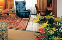 Hotel Maurya Sheraton Towers,New Delhi hotels and New Delhi city guide with New Delhi hotel discounts,New Delhi Hotels,Hotels in New Delhi India,Hotels of New Delhi,New Delhi Hotels India,Hotels New Delhi,Hotels New Delhi India,India New Delhi Hotels,New Delhi India Hotels.