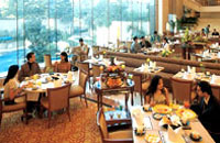 Marriott Hotel New Delhi,Book New Delhi Hotels with Local Support and Rates,New Delhi hotels and New Delhi city guide with New Delhi hotel discounts.
