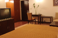 Book New Delhi Hotels with Local Support and Rates,New Delhi hotels and New Delhi city guide with New Delhi hotel discounts.