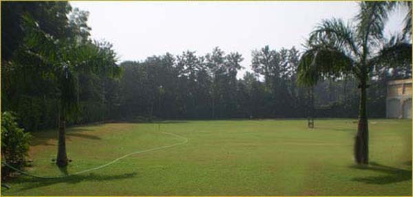 A lawn View