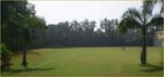 A lawn View