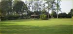 A lawn