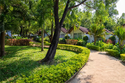 White Woods Resort, Morjim, Goa

