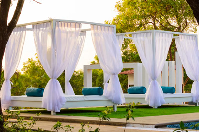 White Woods Resort, Morjim, Goa

 