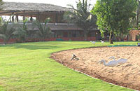LA CALYPSO RESORT, La Calypso Resort,La Calypso Resort In Goa, Resorts In Goa, Luxury Resort Of Goa, La Calypso Resort Baga Beach, La Calypso Resort Baga Beach North Goa.