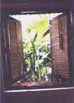 Pousada Tauma Goa - Discount room rates, photos, reviews, and hotel information.Pousada Tauma Hotels offered by HotelTravel.com are rated based on criteria that are important to you. The Pousada Tauma, Goa has not