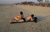Silken Sands, Silken Sands Goa,Silken Sands Hotel,Goa Hotel Silken Sands,Hotel Silken Sands,Hotels in Goa,Goa Hotels.