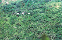 Goa Wildernest Nature Resort Goa Nature Resort Goa Exo Resort Goa Hotels Goa Resorts Goa Guide Goa Package Goa India.