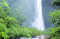 Goa Wildernest Nature Resort Goa Nature Resort Goa Exo Resort Goa Hotels Goa Resorts Goa Guide Goa Package Goa India.