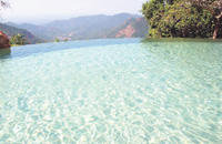 Goa Wildernest Nature Resort Goa Nature Resort Goa Exo Resort Goa Hotels Goa Resorts Goa Guide Goa Package Goa India.