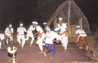 Goa Wildernest Nature Resort Goa Nature Resort Goa Exo Resort Goa Hotels Goa Resorts Goa Guide Goa Package Goa India.
