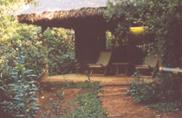 Goa Wildernest Nature Resort Goa Nature Resort Goa Exo Resort Goa Hotels Goa Resorts Goa Guide Goa Package Goa India.