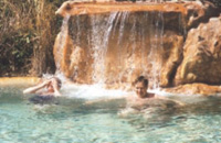 Goa Wildernest Nature Resort Goa Nature Resort Goa Exo Resort Goa Hotels Goa Resorts Goa Guide Goa Package Goa India.
