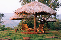 Goa Wildernest Nature Resort Goa Nature Resort Goa Exo Resort Goa Hotels Goa Resorts Goa Guide Goa Package Goa India.